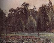 Schwarz Metaponto to the cabbage Camille Pissarro